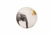 Porland Wild Life Elephant Kase 17 cm 04ALM006457 - 1