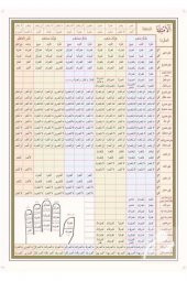 Arapça Emsile Şeması (poster Tablo) - 1