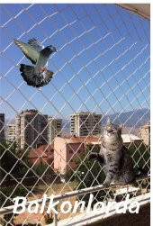 Azmtürkiye Balkon Filesi 2,5x5 Metre Kuş Filesi Kedi Filesi Güvercin Önleme Ağı - 3