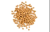 Gaziantep Pazarı Çıtır Leblebi 500 G - 1