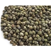 Gaziantep Pazarı Bamya Tohumu 500 G - 1
