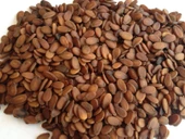 Gaziantep Pazarı Karpuz Çekirdeği 500 G - 1