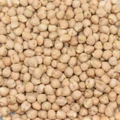 Gaziantep Pazarı Nohut 8 MM 5 KG - 1