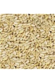 Gaziantep Pazarı Dolmalık Yer Fıstığı 1 KG - 1