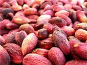 Gaziantep Pazarı Kabuklu Ben Fıstık 1 KG - 1