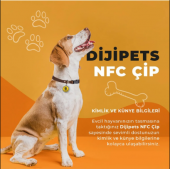 MVG Store Dijipets Siyah Mavi Pati Dostu Akıllı Tasma Dijital Künye Ve Konum Bilgisi (Kayıp İlanı Vermeye Son) - 6