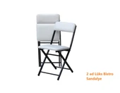 Katlanabilir Bistro Metal İskeletli Sandalye 2 Adet - 1