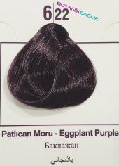 Colorx Saç Boyası Tekli Set - 6.22 PATLICAN MORU thumbnail 2