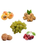 Ceviz-Üzüm- Kayısı-Vişne- Tozlayıcı Ceviz Fidan Paketi - 1