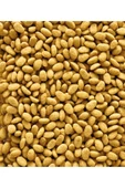 Nutribird P19 Original 10kg - 3