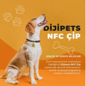 MVG Store Dijipets Pati Dostu Akıllı Tasma Dijital Künye Ve Konum Bilgisi (Kayıp İlanı Vermeye Son) - 4