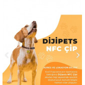 MVG Store Dijipets Pati Dostu Akıllı Tasma Dijital Künye Ve Konum Bilgisi (Kayıp İlanı Vermeye Son) - 5