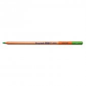 Bruynzeel Design Colour Kuru Boya Kalemi 60 Light Green - 1