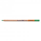 Bruynzeel Design Colour Kuru Boya Kalemi 66 Green - 1