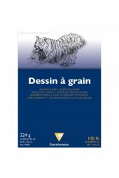 Clairefontaine Dessin A Grain 224gr Doğal Beyaz Çok Amaçlı Çizim Blok 20 Sayfa A3 (29.7x42cm) - 1