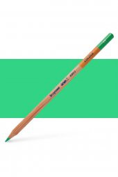 Bruynzeel Dessin Colour Kuru Boya Kalemi Green 66 - 1