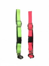 Kedi Köpek Renkli Boyun Tasması Ayarlanabilir 2li 28 Cm - 1