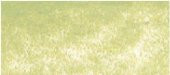 Derwent Drawing Pencil Renkli Çizim Kalemi 4125 Pale Cedar - 1