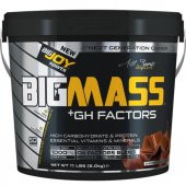 Bigjoy Sports Big Mass 5000 G 50 Saşe Çikolata - 1