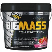 Bigjoy Sports Big Mass 5000 G 50 Saşe Çikolata - 2