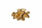 Porland Mercan Altın D:1 Dekoratif Obje 15 cm 04STY008126 - 2