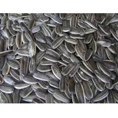 CANLAR Çekirdek 1kg - 1