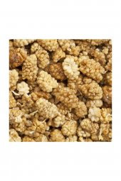 CANLAR Erzincan Dut Kurusu 1 kg - 2