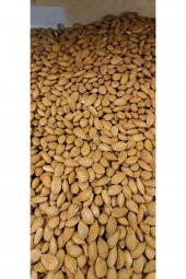 Kayısı Çekirdeği 1kg - 1