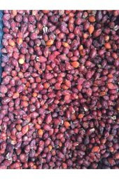 NATURAL Kuşburnu Kurusu 1 kg - 1