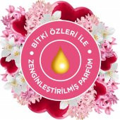 Glade Hava Tazeleyici Aerosol Oda Kokusu Aşkın Büyüsü - 4