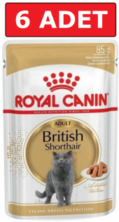 Royal canın british shorthair kedi konservesi pouch 85 gr 6 adet yaş mama - 1