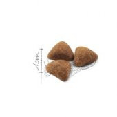 Royal canin indoor adult 2 kg kuru kedi maması - 2