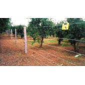 Galvanizli Tel 1,9mm 5 kg - 2