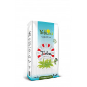 YEŞİL İNCİ TURKA 1000 GR - 1