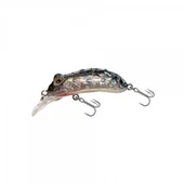 Japanese Chico HG2574 thumbnail 1