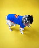 Superman Tişört Büyük Irk Köpekler İçin Dual Duo - 2