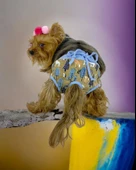 Forest Kemique's Secret Köpek İç Çamaşırı Regl Külot Don - 3