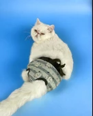 My Elephant Kemique's Secret Kedi İç Çamaşırı  Regl Külot  Don thumbnail 2