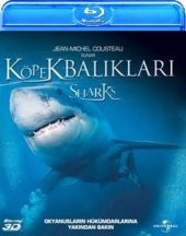 Sharks - Köpekbalıkları 3D+2D Blu-Ray Tek Disk - 1
