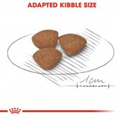 Royal Canin Mini Junior Küçük Irk Yavru Kuru Köpek Maması 2 Kg - 6