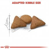 Royal Canin British Shorthair Yetişkin Kuru Kedi Maması 4 Kg - 6