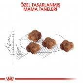 Royal Canin Mother & Babycat Yavru Kuru Kedi Maması 2 Kg - 7