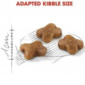 Royal Canin Kitten Yavru Kuru Kedi Maması 10 Kg - 4