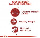 Royal Canin Fit 32 Yetişkin Kuru Kedi Maması 2 Kg - 3