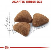 Royal Canin İndoor Evde Yaşayan Yetişkin Kedi Maması 2 Kg - 5