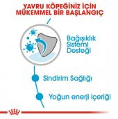 Royal Canin Mini Puppy Pouch Yavru KöpekKonservesi 12x85 Gr - 5