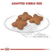 Royal Canin Mini Adult Küçük Irk Yetişkin Kuru Köpek Maması 2 Kg thumbnail 5