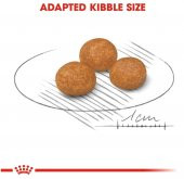Royal Canin X-Small Irk Yetişkin Köpek Maması 1,5 Kg - 6