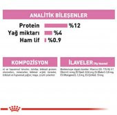 Royal Canin Kitten Gravy Yavru Kedi Konservesi 85 Gr - 3