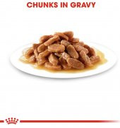 Royal Canin Kitten Gravy Yavru Kedi Konservesi 85 Gr - 5